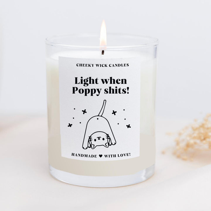 Personalised Light When the Cat Shits Funny Candle Gift