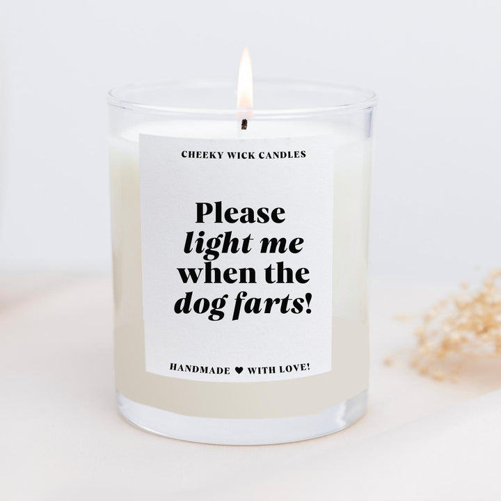 Light When the Dog Farts Candle