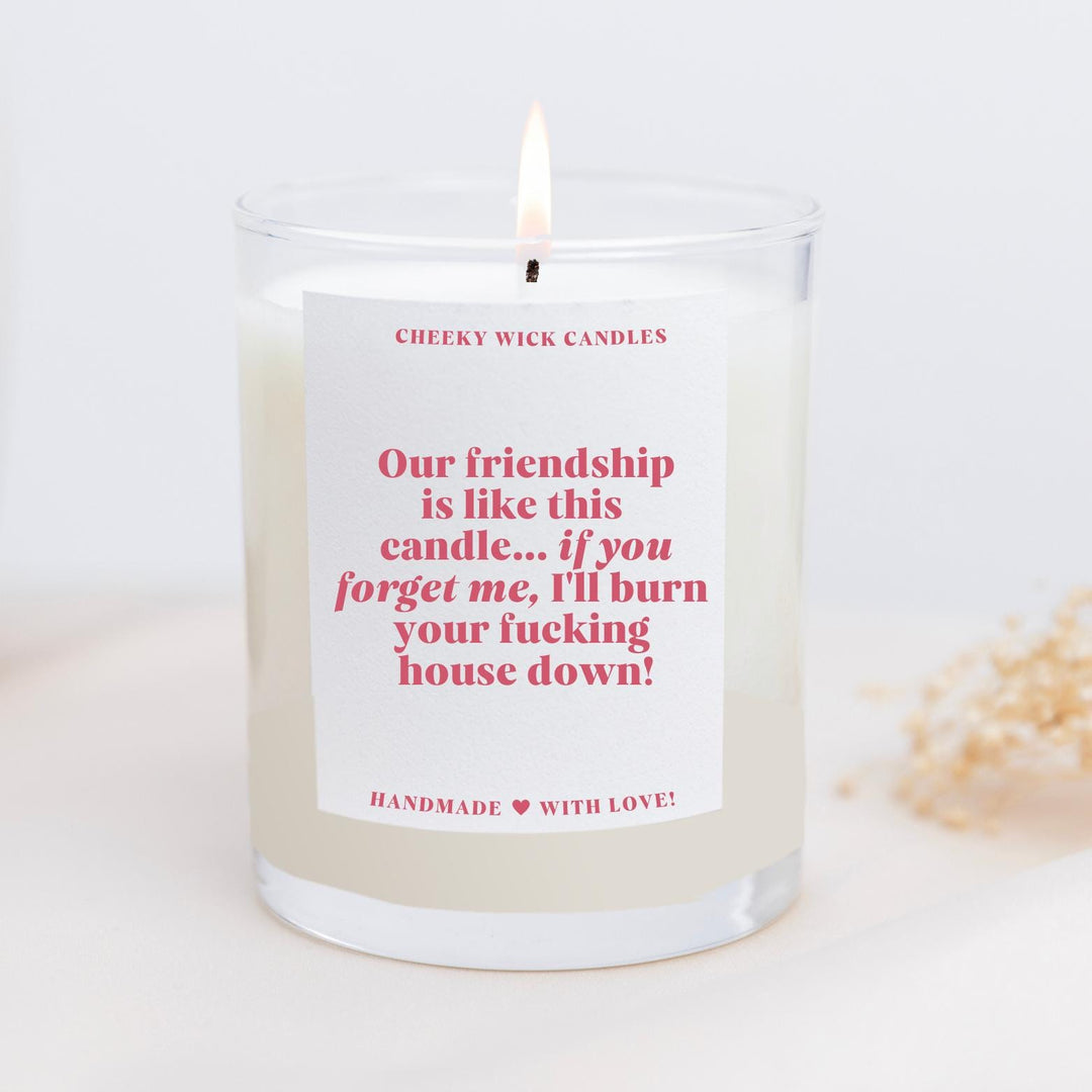 I'll Burn Your House Down Friendship Candle