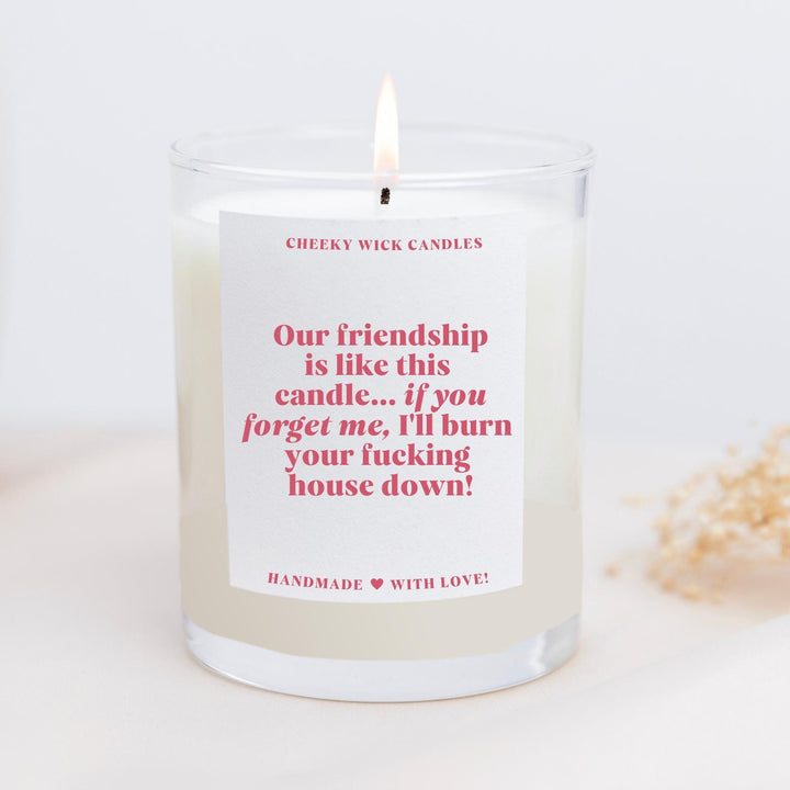 I'll Burn Your House Down Friendship Candle