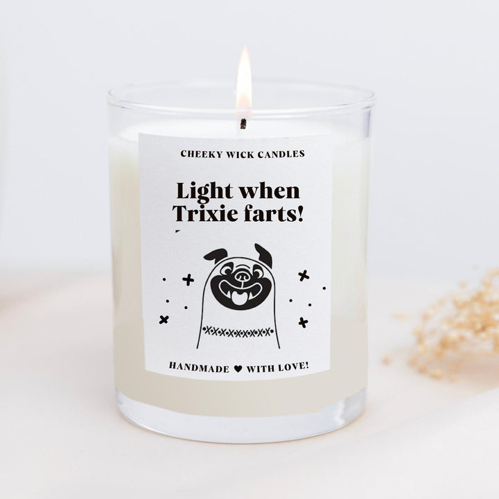 Light Me When the Dog Farts Candle - Pug Lover