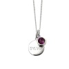 Hampers and Gifts to the UK - Send the Engraved February Birthstone Necklace