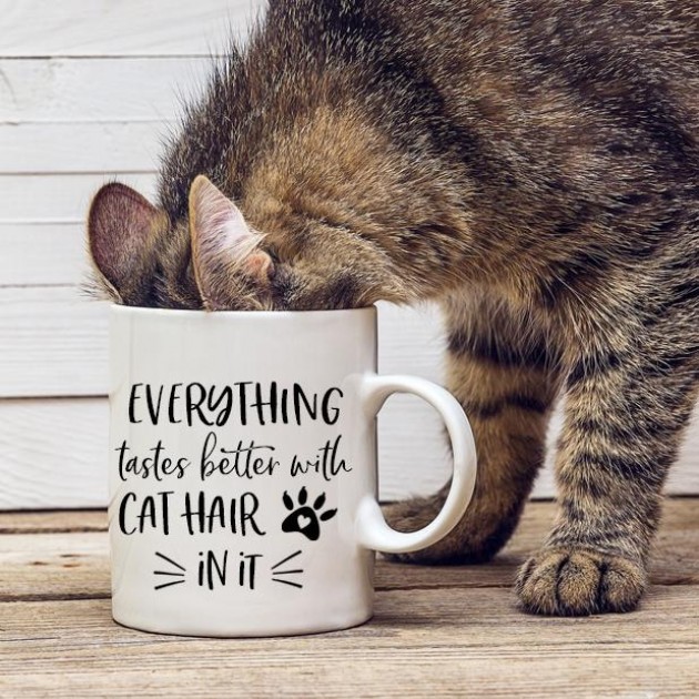 Hampers and Gifts to the UK - Send the Everything Tastes Better With Cat Hair In It Mug