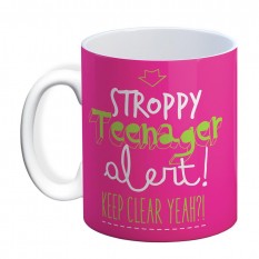 Hampers and Gifts to the UK - Send the Stroppy Teenager Alert Mug - Pink or Green