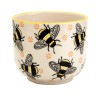 Hampers and Gifts to the UK - Send the Busy Bees Small Planter