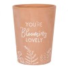 Hampers and Gifts to the UK - Send the Blooming Lovely Terracotta Plant Pot