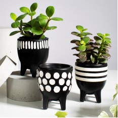 Hampers and Gifts to the UK - Send the Set of Scandi Boho Little Planters 