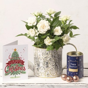 Hampers and Gifts to the UK - Send the Christmas Flowers