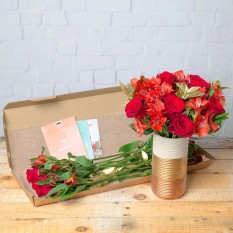 Hampers and Gifts to the UK - Send the Noelle Letterbox Flowers