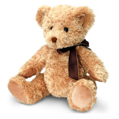 Hampers and Gifts to the UK - Send the Sherwood Bear by Keel Toys